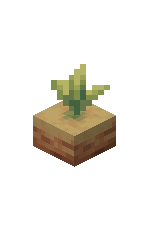 Cultivo de Planta Odre