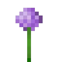 Hexagon icon