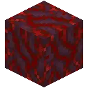 Crimson Hyphae