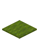 Green Carpet