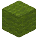 Green Wool