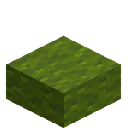 ??? Green Wool Slab