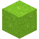 Lime Concrete Powder