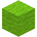 Lime Wool