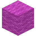 Magenta Wool