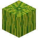Melon