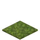 Moss Carpet