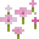 Hexagon icon
