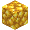 Raw Gold Block