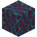 Warped Hyphae